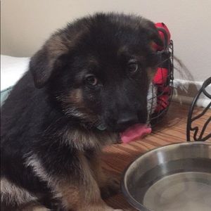 Meet your Posher, Cory